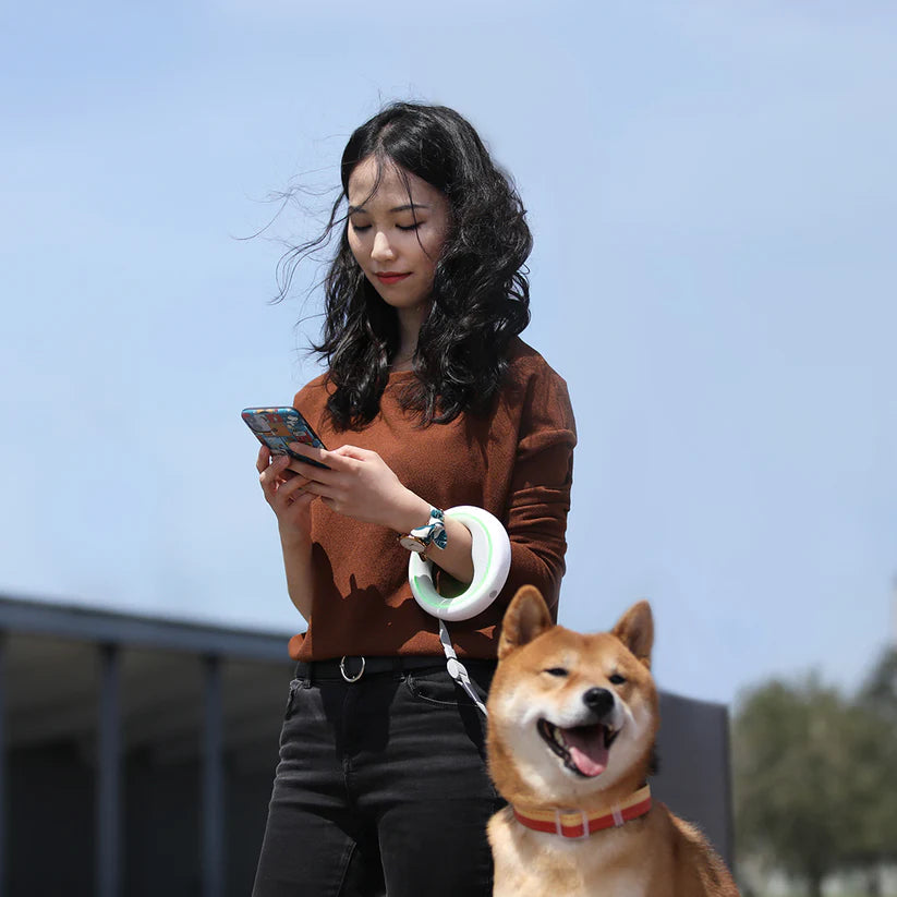 Laisse intelligente mains libres et lumineuse