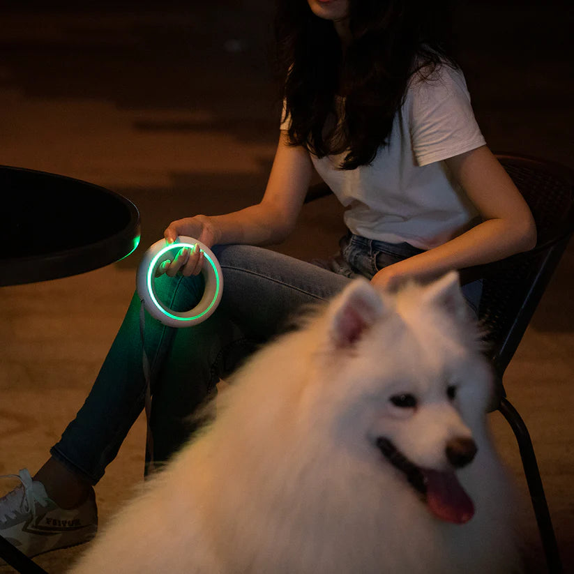 Laisse intelligente mains libres et lumineuse