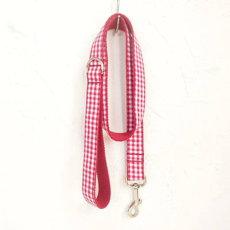 Ensemble ESPRIT VICHY – Collier, Laisse & Nœud Papillon