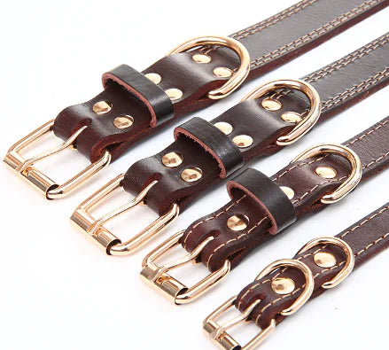 Collier en Cuir Véritable avec Boucle Dorée – Élégance & Confort pour Chiens