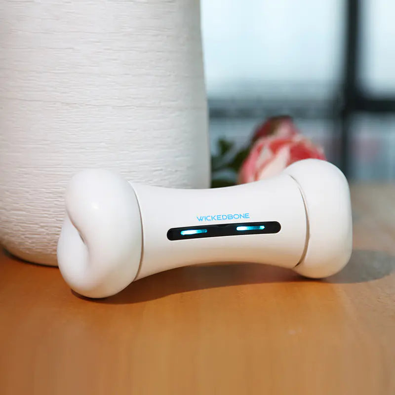 Os Robot Intelligent – Le Jouet Connecté qui Fait Bouger Votre Chien !