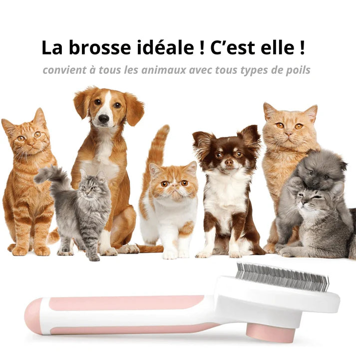 Brosse auto-nettoyante pour chat & chien