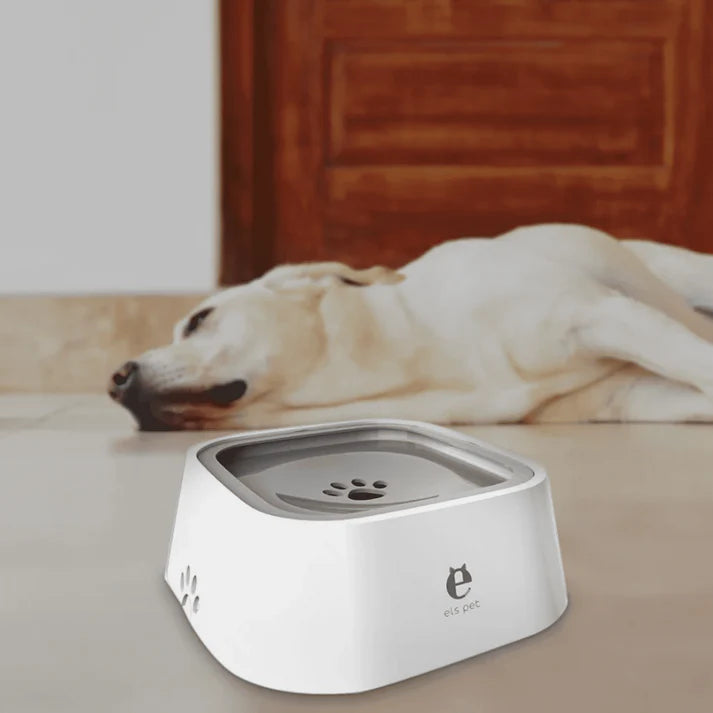 Gamelle Anti-Éclaboussures – Distributeur d’Eau Intelligent pour Chiens & Chats 💧