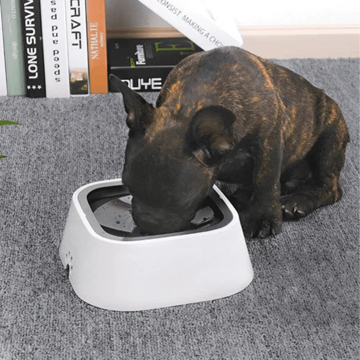 Gamelle Anti-Éclaboussures – Distributeur d’Eau Intelligent pour Chiens & Chats 💧