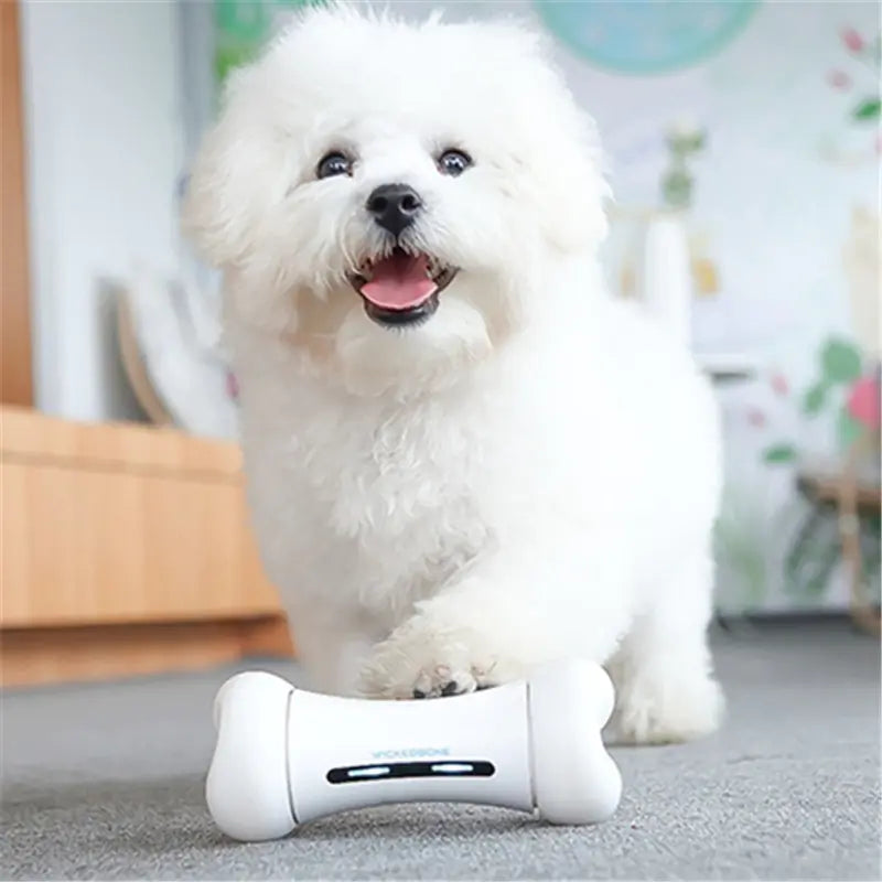 Os Robot Intelligent – Le Jouet Connecté qui Fait Bouger Votre Chien !