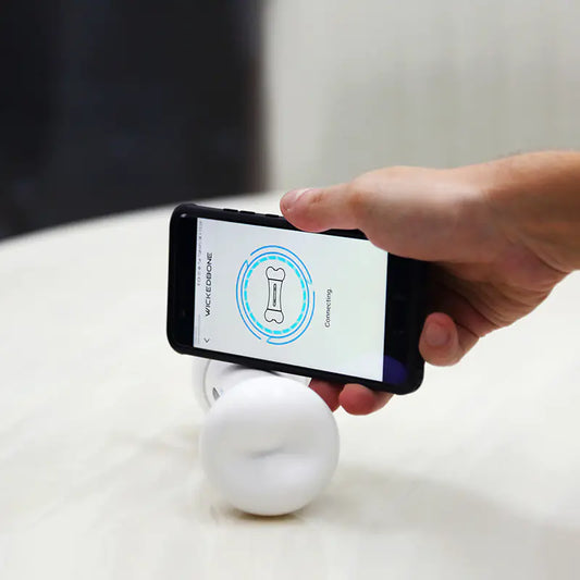 Os Robot Intelligent – Le Jouet Connecté qui Fait Bouger Votre Chien !