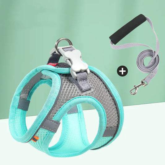 Harnais Réfléchissant Respirant + Laisse – Confort & Sécurité pour Chien