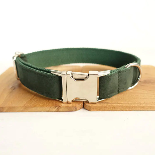 OLIVE - Collier pour chien réglable