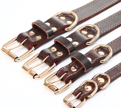 Collier en Cuir Véritable avec Boucle Dorée – Élégance & Confort pour Chiens