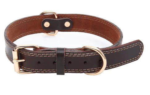 Collier en Cuir Véritable avec Boucle Dorée – Élégance & Confort pour Chiens