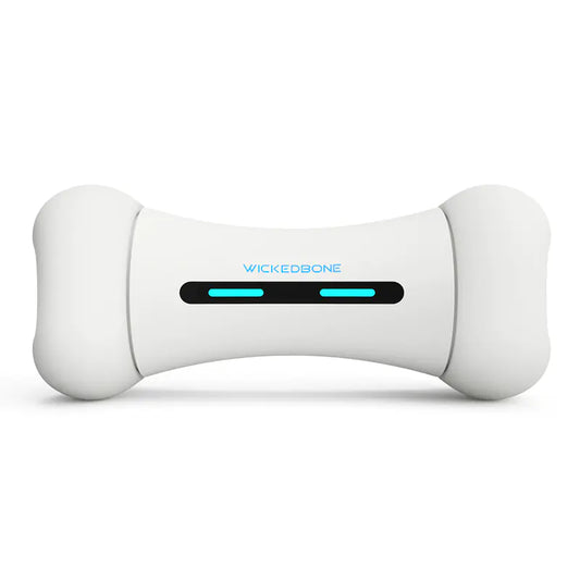 Os Robot Intelligent – Le Jouet Connecté qui Fait Bouger Votre Chien !