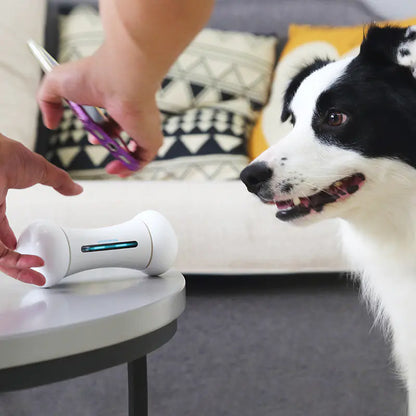 Os Robot Intelligent – Le Jouet Connecté qui Fait Bouger Votre Chien !